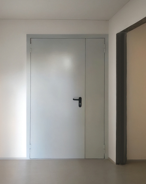 Стальная полуторная дверь Стальная полуторная дверь