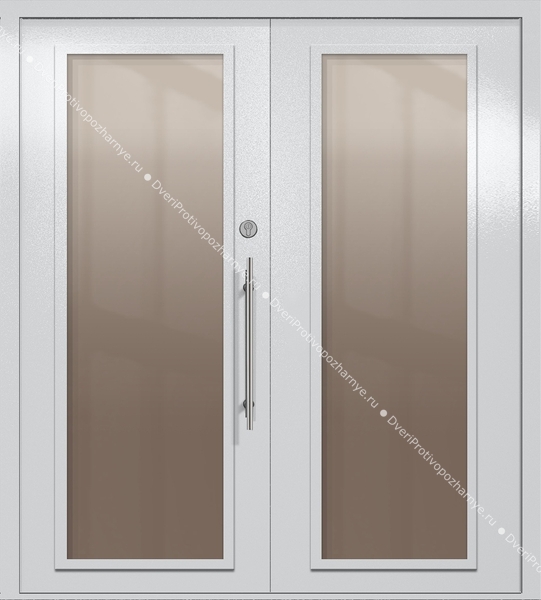 Двупольная техническая дверь с максимальными стеклами (цвет светло-серый RAL 7047)