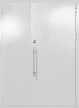 Полуторапольная глухая техническая дверь (цвет светло-серый RAL 7047)