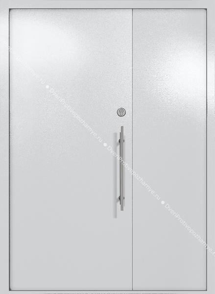 Полуторапольная глухая техническая дверь (цвет светло-серый RAL 7047)